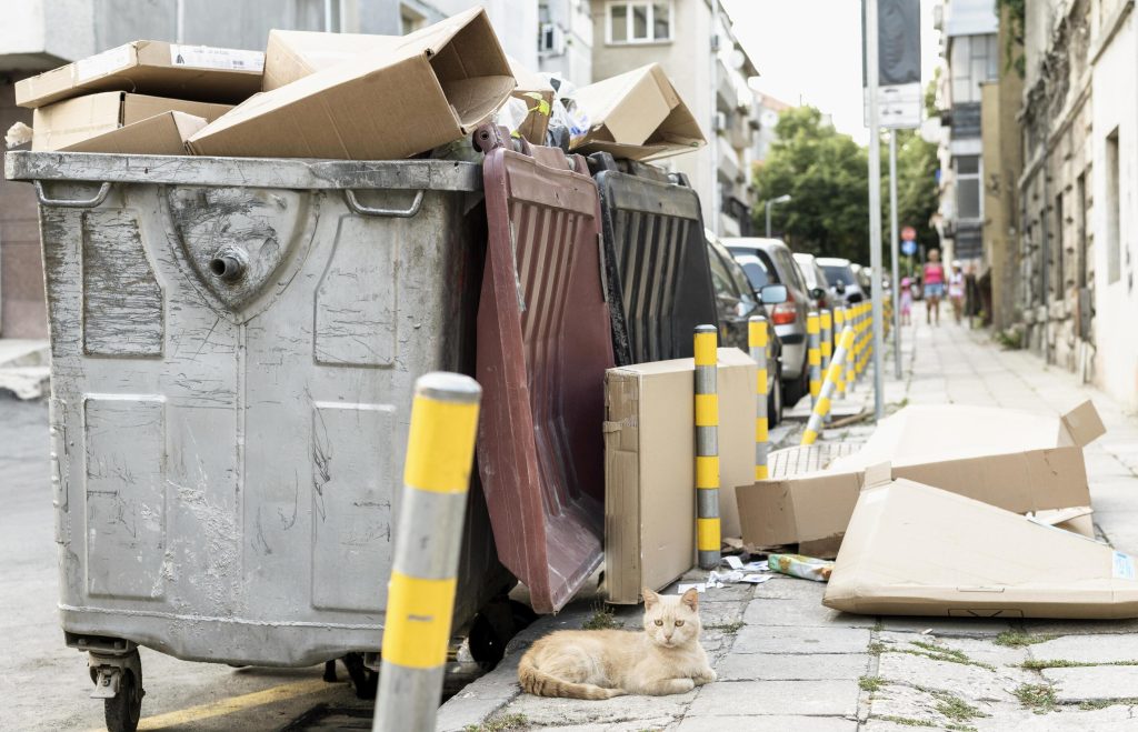 Seasonal waste removal in Hobart